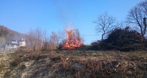 VUZMICE U GORNJEM PSARJEVU I VELIKOJ GORI