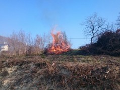 VUZMICE U GORNJEM PSARJEVU I VELIKOJ GORI