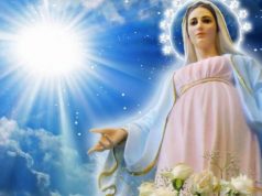 Sretan i blagoslovljen blagdan Uznesenja Blažene Djevice Marije!